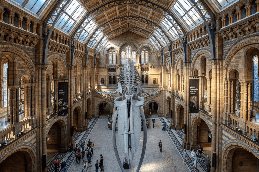 Visiting London Museums - Image 1