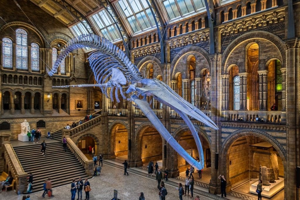 World-class museums (mostly free) - Image 1