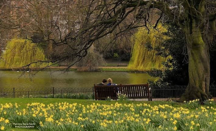 Best Areas for Couples & Romance