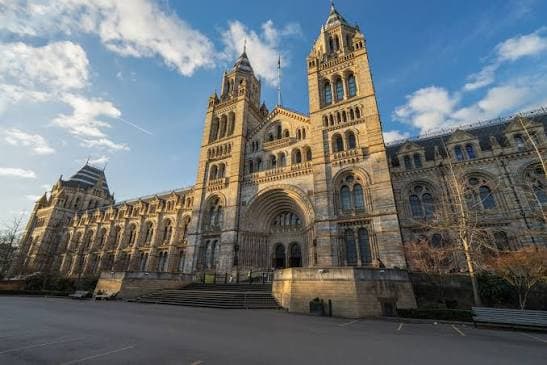 West London - Museums, Palaces & Bohemian Streets