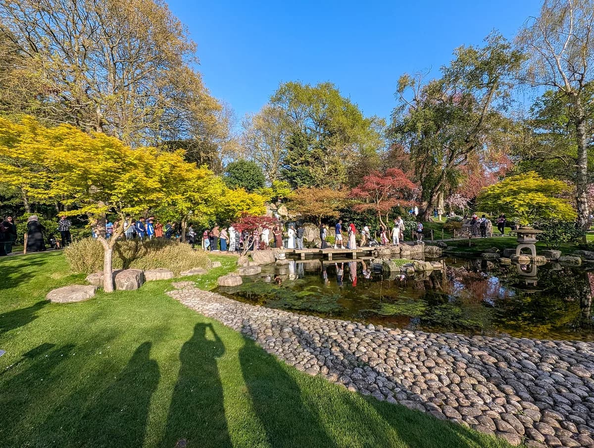 Holland Park - Kyoto Garden & the Woodland Walk