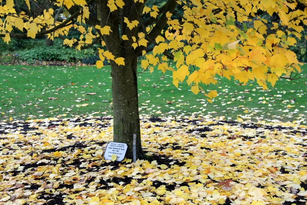 London in October 2026 - BFI, Frieze & Halloween Peak