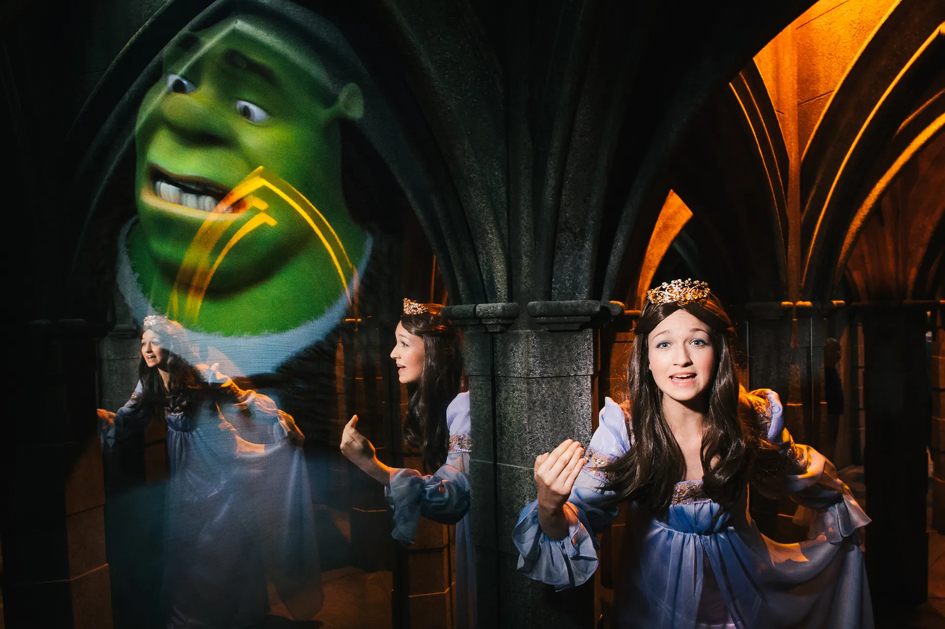 Venture Through The Mirror Maze