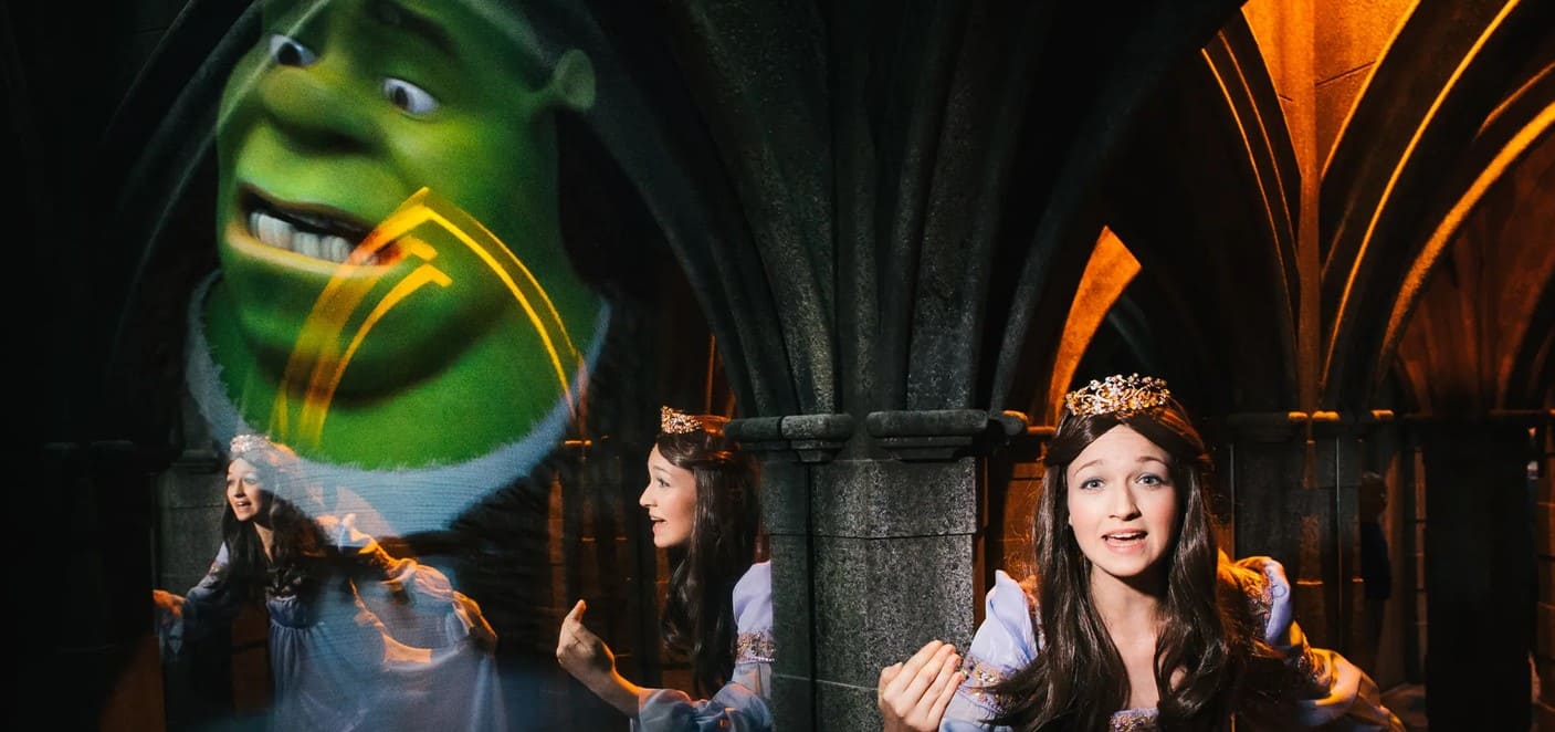 Venture Through The Mirror Maze